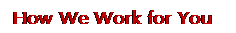 Text Box: How We Work for You 
